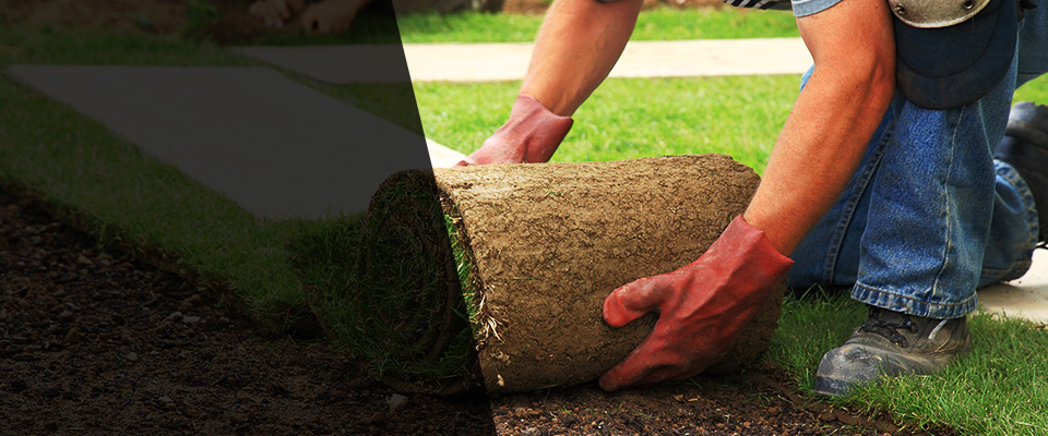 Hartsville Landscapers